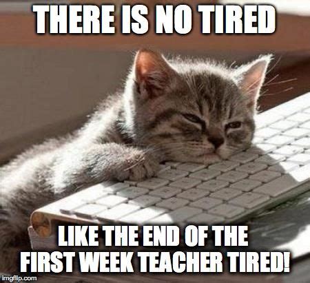 tired cat | THERE IS NO TIRED LIKE THE END OF THE FIRST WEEK TEACHER ...