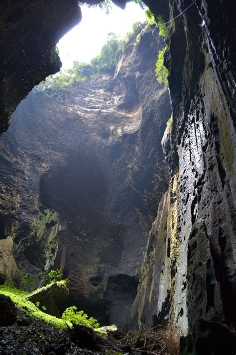 Borneo: The Mulu Caves (Bat Poo Caves), home of Bird’s Nest Soup - The ...