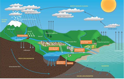 Draw And Label A Diagram Of Groundwater System Surface Water