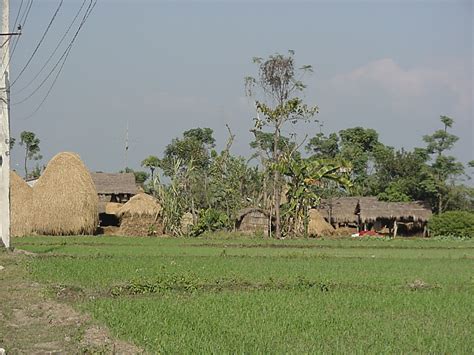 Terai - Alchetron, The Free Social Encyclopedia