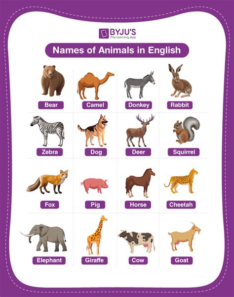 Top 100 + Animals name in english - Inoticia.net