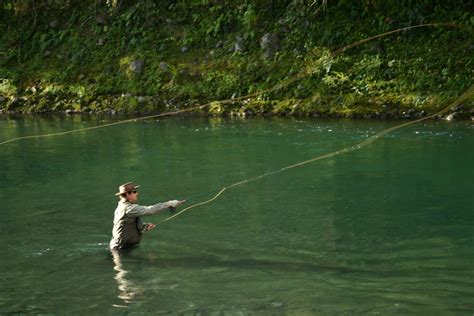 Fly Fishing Tips, Tricks and Techniques - Fishingpedia