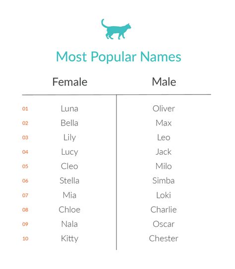 What Are the Most Common Pet Names? - Nom Nom