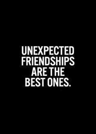 52 Crazy Funny Friendship Quotes for Best Friends – tiny Positive