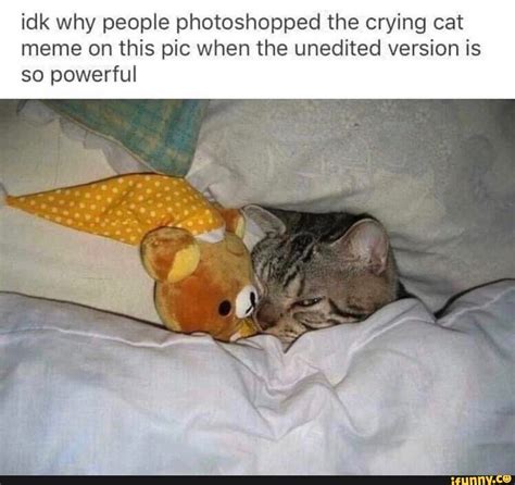 Crying Cat Meme In Bed