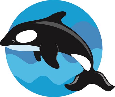 Killer Whale Cartoon - ClipArt Best