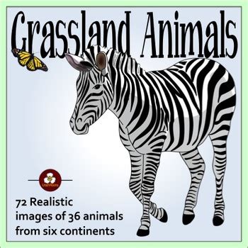 Grassland Animals Realistic Clip Art by UtahRoots | TpT