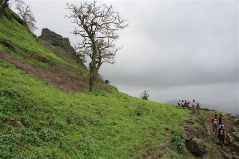 Rajmachi Fort Trek in Monsoon | Travel And Trekking – Travel And Trekking