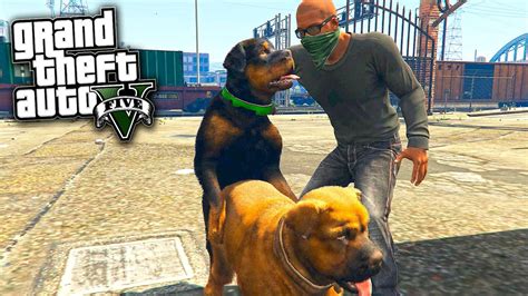 Gta 5 Chop Dog