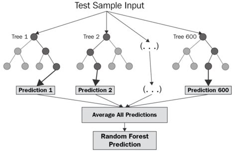 The Ultimate Guide to Random Forest Regression