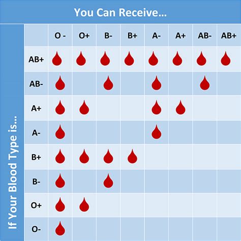 Blood Type Donation Chart : Blood Types Chart 7 Free Pdf Download ...