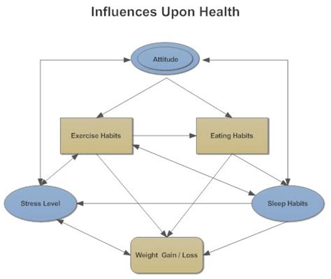 Influence Diagram - What is an Influence Diagram