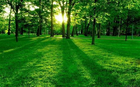 nature, Landscape, Green, Grass Wallpapers HD / Desktop and Mobile ...