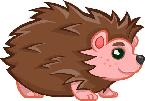 Hedgehog Clipart in Animal - 43 cliparts