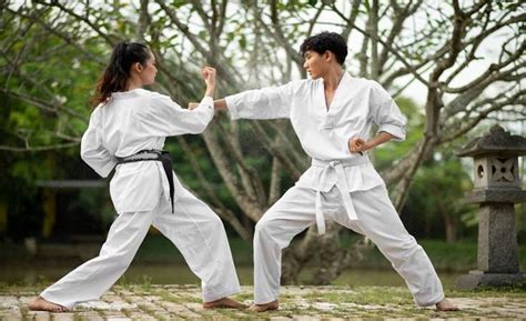 Kicking vs Punching: Self-Defense Showdown - Karate vs Taekwondo