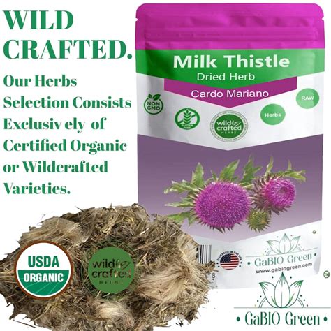 Cardo Mariano Herb, Milk Thistle Herb 100% PURE & NATURAL Cardo Marin ...