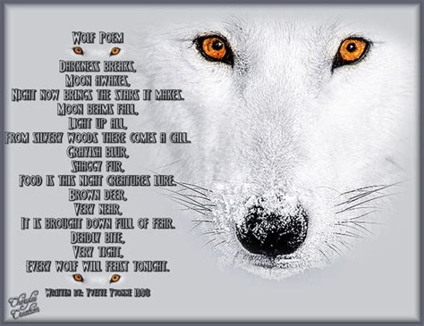 Wolf Poems And Quotes. QuotesGram