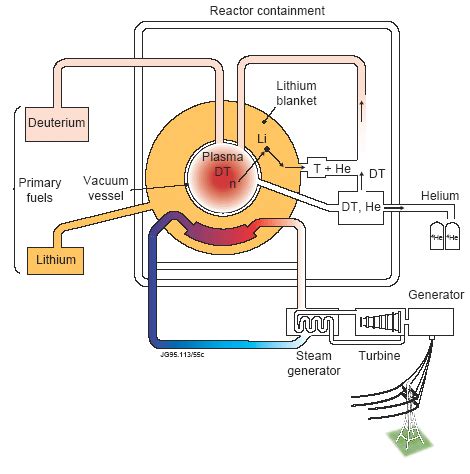 Nuclear Fusion Reactor Diagram