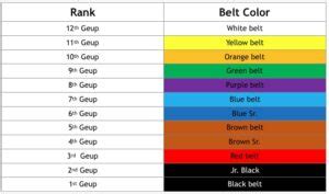 Taekwondo Belt Ranking System – EASILY Explained For Beginners – MMA ...