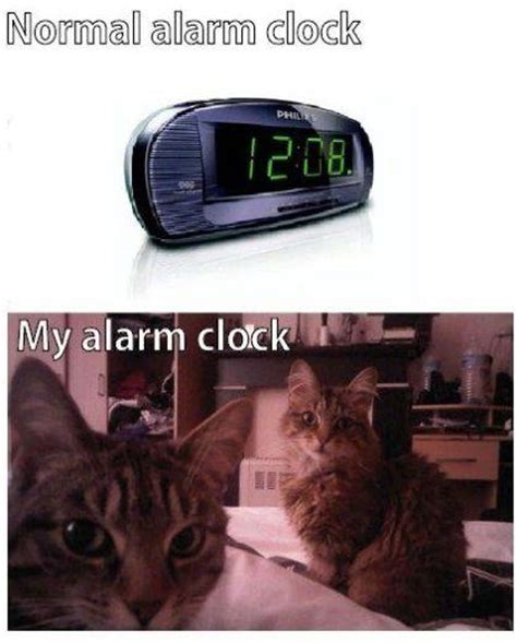 The Funniest Alarm Clock Memes