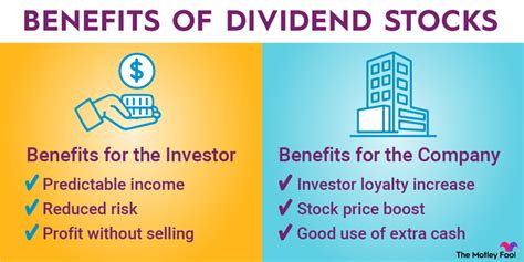 What are Dividends stock? And How do They Work? - Investing