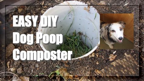 How Do You Compost A Dog Poo