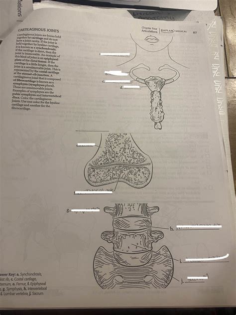 Cartilaginous Joints Diagram | Quizlet