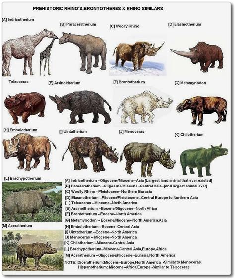 Species evolution chart Prehistoric Wildlife, Prehistoric World ...