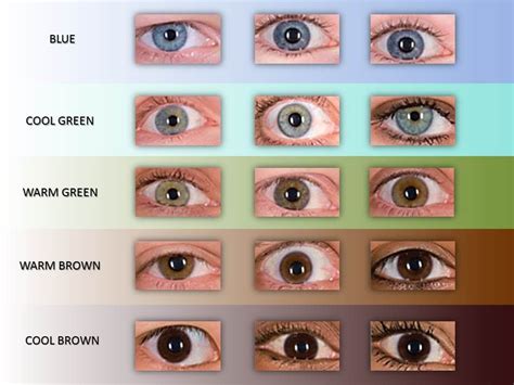 Image result for eye color chart | Eye color chart, Eye color, Ash hair ...