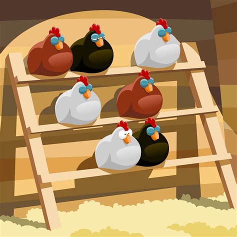 What roost is best for my chickens? - The Good Life Backyard