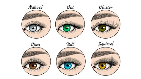 Eyelash Extensions Styles for Different Eye Shapes | Chic Lash Boutique