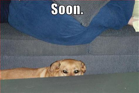 Funny "Soon" Meme - 38 Pics