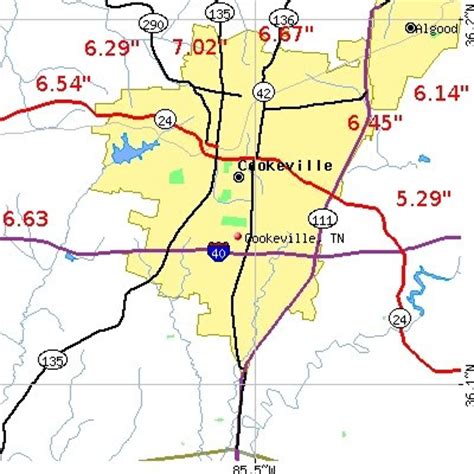 The Weather Guy: Cookeville Rainfall Measurements