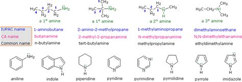 Nomenclature of Amines - Chemistry LibreTexts