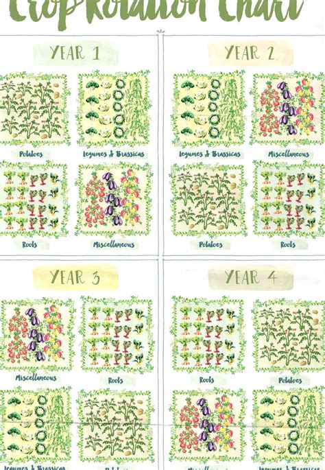 Crop Rotation Chart Printable - Printable Word Searches