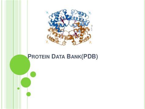 protein data bank