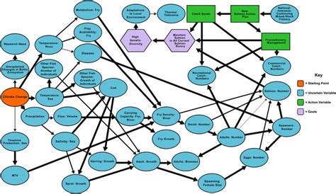 Influence Diagram Examples