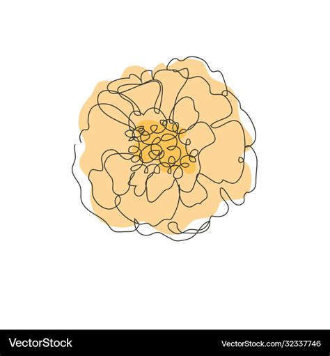 Decorative hand drawn marigold flower design Vector Image