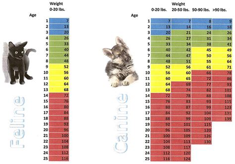 34 HQ Pictures Cat Weight Chart Funny : Use this chart as a guideline ...