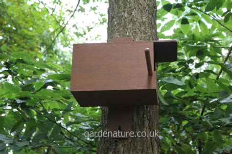 Kestrel Nest Box