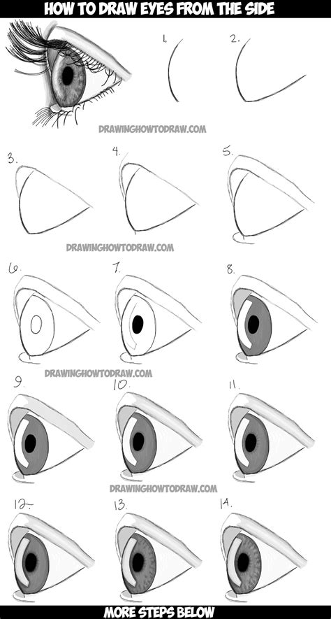 Pasos De Como Dibujar Un Ojo Eye Drawing Drawings How To Draw Eyebrows ...