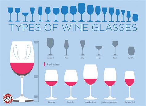 Types of Wine Glasses (Infographic) for Beginners | Wine Folly