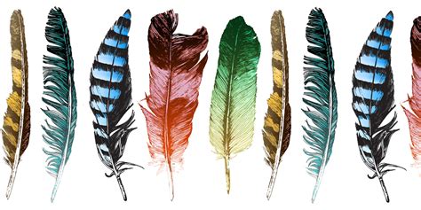 Native American Feathers Meanings