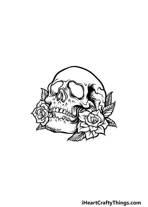 Rose And Skull Drawings