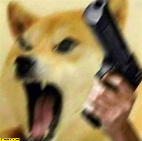 Angry doge with a gun dog meme | StareCat.com