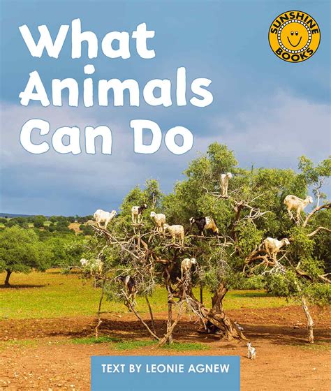 What Animals Can Do – Sunshine Books New Zealand