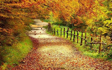 Autumn Trees Wallpapers - Wallpaper Cave