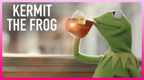 Watch The Kelly Clarkson Show Highlight: Kermit The Frog's Thoughts On ...