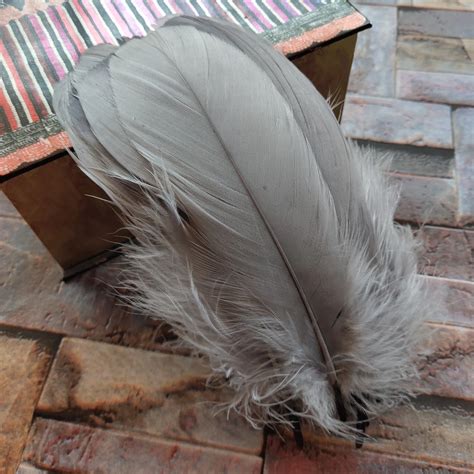 100pcs Natural Goose Feathers Gray Loose Goose feathers 12 20cm long ...