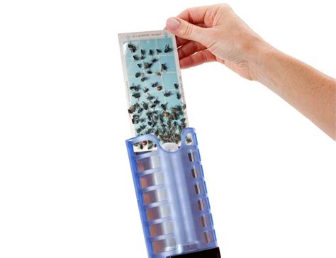 This indoor insect trap gets rid of any pesky flies in your house